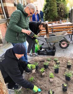 Viele Teammitglieder des LHZ Dresden beteiligten sich fleißig und bringen die mitgebrachten Pflanzen ein den Boden.